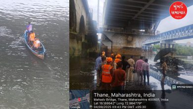 Fell into the creek from a moving train