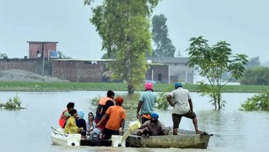 પંજાબમાં પૂરની પરિસ્થિતિ: આકાશી આફતે વિનાશ વેર્યો, 30ના મોત 2.5 લાખ અસરગ્રસ્ત