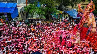 Ganesh Visarjan