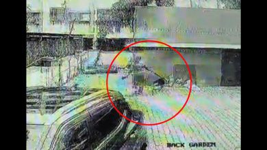 German Shepherd attacks 7-year-old child in Surat, child's life barely saved