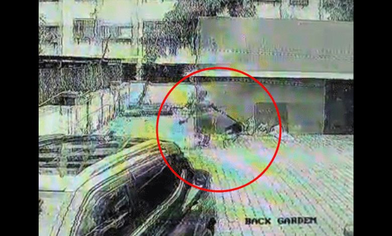 German Shepherd attacks 7-year-old child in Surat, child's life barely saved