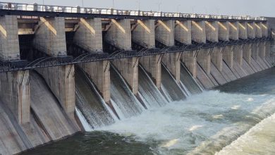 મોરબી: જિલ્લાની જીવાદોરી સમાન ગણાતો મચ્છુ-1 ડેમ ઉપરવાસમાં પડેલા ભારે વરસાદને પગલે ઓવરફ્લો થયો હતો. ડેમ સંપૂર્ણપણે ભરાઈ વધારાનું 623 ક્યુસેક પાણી મચ્છુ નદીમાં છોડવામાં આવ્યું હતું. જેના કારણે નીચાણવાળા વિસ્તારોમાં પૂરનું જોખમ હોય લોકોને સાવચેત કરાયા હતા.