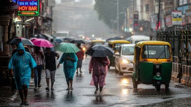 Four rain systems active simultaneously in Gujarat, red alert for heavy rain in three districts