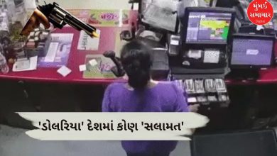 અમેરિકામાં ગુજરાતીની હત્યાથી ફફડાટ