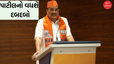 રાષ્ટ્રીય રાજકારણમાં વધશે ગુજરાતનું વર્ચસ્વ! જે પી નડ્ડાનું સ્થાન લઈ શકે છે સી આર પાટીલ