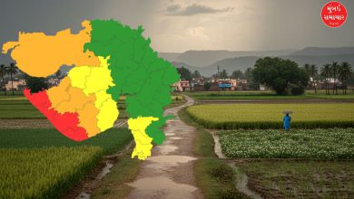 આજે ગુજરાતના અમદાવાદ સહિત ૧૩ જિલ્લામાં ભારે વરસાદની આગાહી; નોરતામાં પડશે ભંગ