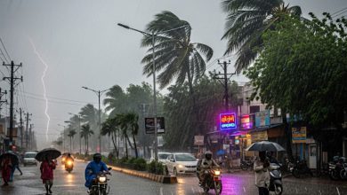 ગુજરાતમાં મેઘરાજાનું રૌદ્ર સ્વરૂપ: આજે 5 જિલ્લામાં 'રેડ એલર્ટ', રાજ્યમાં ભારેથી અતિભારે વરસાદની આગાહી!