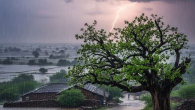 સાચવજો, ૪ થી ૭ સપ્ટેમ્બર દરમિયાન સૌરાષ્ટ્ર તથા દક્ષિણ ગુજરાતના જિલ્લાઓમાં પડશે ભારે વરસાદ