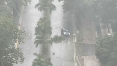 હોંગકોંગ અને ચીનમાં વાવાઝોડા તપાહની અસર શરુ, ભારે પવન સાથે વરસાદ