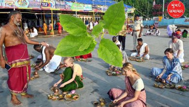 Importance of Tulsi on Sarvapitru Amavasya