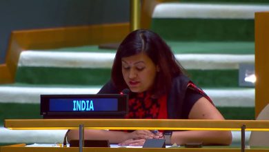 ભારતનાં 7 ફાઈટર જેટ તોડ્યાનો શાહબાઝનો UNમાં દાવો, ભારતે ગણાવી નૌટંકી