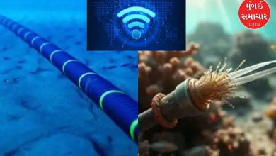 Internet cables cut in the Red Sea: Impact on these countries including Pakistan