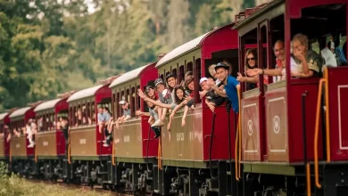 પ્રવાસીઓથી ભરેલી જોય મીની ટ્રેન, જે મહાબળેશ્વરના સુંદર પહાડી વિસ્તારોમાંથી પસાર થઈ રહી છે.