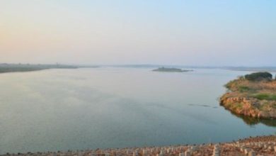 Kutch's medium irrigation scheme dams filled to 85 percent, water storage seven percent less than last year