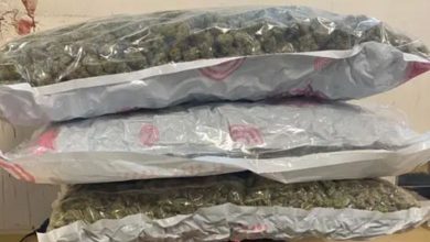 બૅન્ગકોકથી મોટા પ્રમાણમાં ગાંજાની તસ્કરી: 34.70 કરોડના ગાંજા સાથે સાતની ધરપકડ