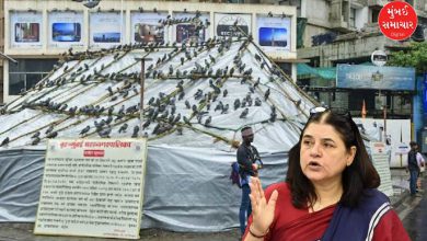 Maneka Gandhi Pigeon House