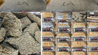 મુંબઈ એરપોર્ટ પર 13.83 કરોડનો ગાંજો પકડાયો: બે પ્રવાસીની ધરપકડ