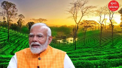 Modi's gift of Assam tour and development works