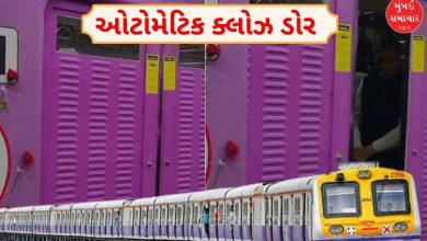 મુંબઈની લોકલ ટ્રેનના બંધ દરવાજાનો ક્લોઝ-અપ ફોટો