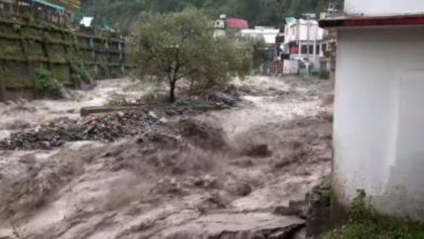 વડોદરામાંથી રેલવે કર્મચારી 5 લાખના બીયરના જથ્થા સાથે ઝડપાયો