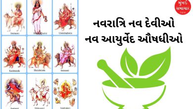નવરાત્રિના નવ દિવસોનો દેવીઓ જ નહીં પણ આયુર્વેદની ઔષધીઓ સાથે પણ છે કનેક્શન...