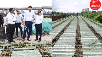 New bridge to reduce traffic at Worli Naka, Mahalaxmi and Lower Parel: to be opened on December 26