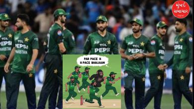 Pakistani cricket team joke