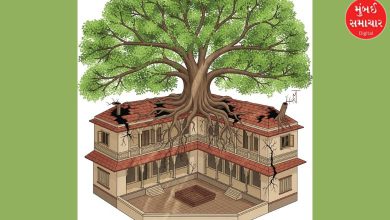 Is Peepal tree growing in the house? Don't cut it even by mistake, know these rules