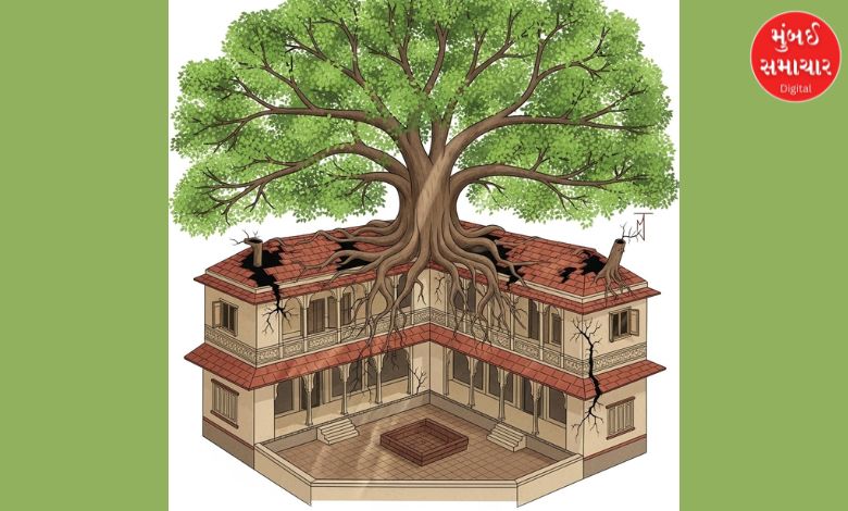 Is Peepal tree growing in the house? Don't cut it even by mistake, know these rules