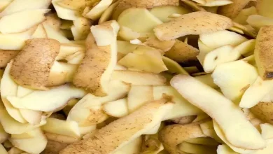 બટેટાંની છાલનો એક ઢગલો. આ છબી બટેટાંની છાલના આરોગ્યલક્ષી ફાયદાઓની ચર્ચાને રજૂ કરે છે.