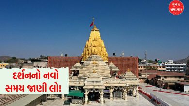 આસો નવરાત્રીને લઈને અંબાજી, પાવાગઢ અને ચોટીલા મંદિરના સમયમાં ફેરફાર: જુઓ દર્શનનો નવો સમય