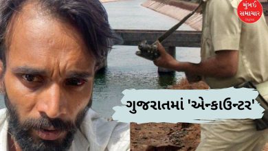 નર્મદા કેનાલ પાસે સાયકો કિલર વિપુલ પરમારનું પોલીસ એન્કાઉન્ટર થયું તે ઘટનાની તસવીર