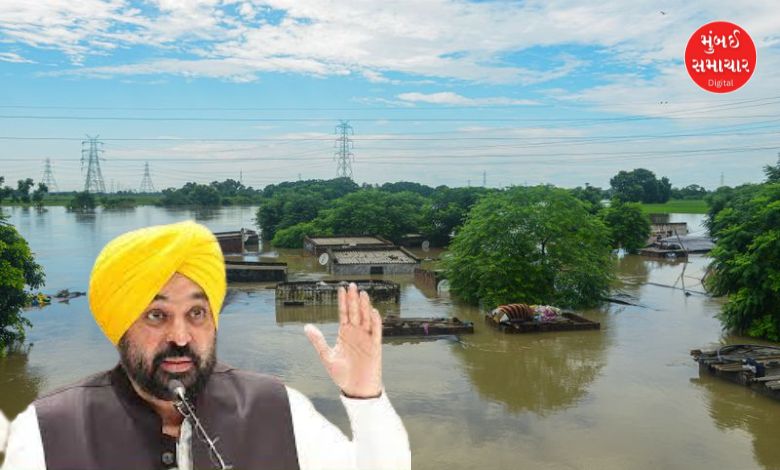 Punjab government announces relief package