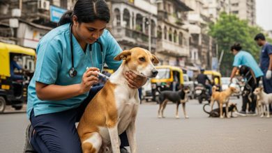 મુંબઈમાં રખડતા શ્ર્વાન માટે રેબીઝ પ્રતિબંધક વેક્સિન અભિયાન