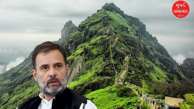 Rahul Gandhi in Gujarat