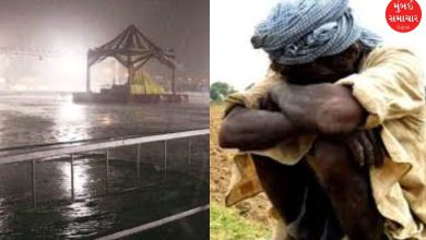 ખેલૈયાઓનું તો માત્ર એક નોરતું બગડ્યું, પણ ખેડૂતોનું તો વરસાદે કર્યું પારાવાર નુકસાન