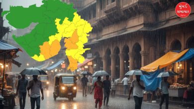 Gujarat ના આ જિલ્લામાં આજે પણ વરસાદની આગાહી, જાણો કયા પડશે વરસાદ?