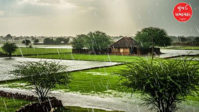 સૌરાષ્ટ્રમાં સીઝનનો ૮૬.૫૧ ટકા વરસાદ નોંધાયો: ૯૦ થી વધુ ડેમ હાઇએલર્ટ-વોર્નિંગ પર