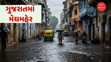 ગુજરાતમાં બે દિવસ બાદ ઘટશે વરસાદનું જોરઃ રાજ્યમાં 392 રોડ રસ્તા બંધ