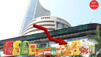 Reasons for the fall in Patanjali Foods share price