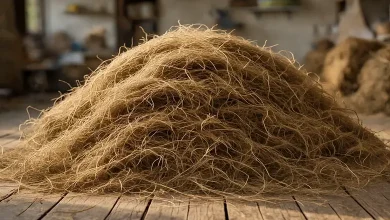 કાચા શણ (Raw Jute)ના ઢગલાનો ફોટો.