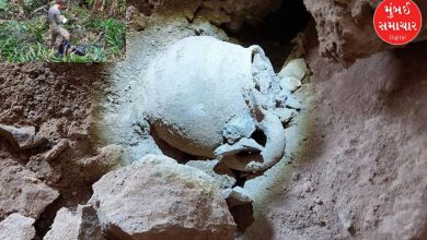 Scientists discovered mysterious jars in the forests of Brazil, what was discovered when they opened them?