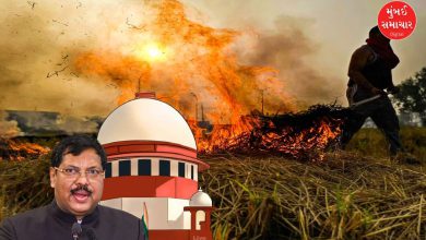 'Send farmers behind bars'