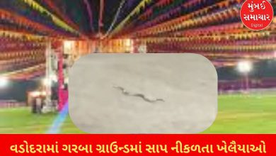 Snakes emerge from Garba ground in Vadodara, causing stampede among players