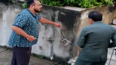 રિવરફ્રન્ટ પર સાવધાની રાખજો: પૂરના પાણી ઓસરતા જોવા મળ્યા સાપ, તંત્રએ હાથ ધર્યું રેસ્ક્યુ ઓપરેશન.