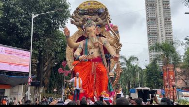 Sutargalli Ganesh Visarjan