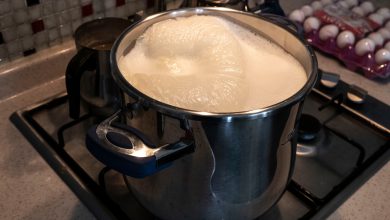 દૂધ ગરમ કરતી વખતે રાખજો આટલું ધ્યાન, વાસણમાંથી ઉભરાઈને નહીં આવે બહાર