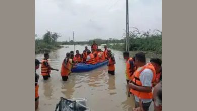 UPDATE: પાટણની સાંતલપુરમાં નદીમાં 12 યુવકો ડૂબ્યા, મૃત્યુઆંક વધીને પાંચ થયો