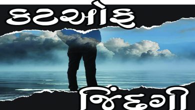 સન્ડે ધારાવાહિક: કટ ઑંફ જિંદગી - પ્રકરણ-10 - અનિલ રાવલ ‘માનવસેવા માટે મેડિકલની કોઇ ડિગ્રીની જરૂર નથી હોતી. મનથી થાય એ જ સાચી માનવસેવા.’ ડો. સાળુંખેએ કહ્યું.