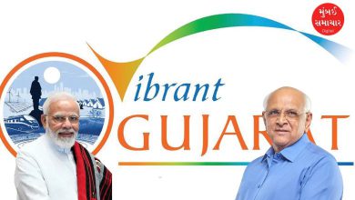 Vibrant Gujarat